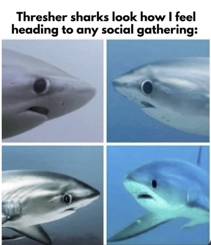 Screenshot 2025 06 26 at 10.53.19 AM.png