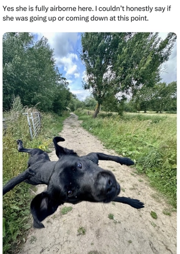 Screenshot 2025 06 26 at 10.52.36 AM.png