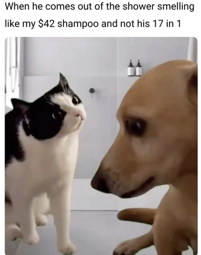 Screenshot 2025 06 26 at 10.56.57 AM.png