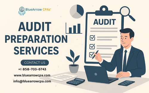 Audit preparation services (2).jpg