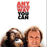 Any Which Way You Can (1980)