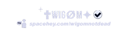 name + selo wigom.png