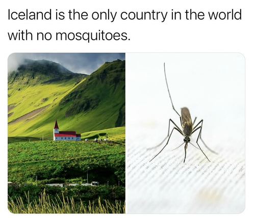 Screenshot 2025 06 25 at 1.02.03 PM.png