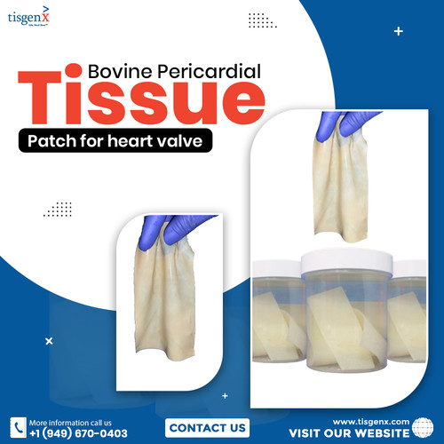 Bovine Pericardial Tissue Patch for heart valve.jpg