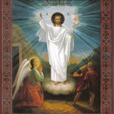 ebf3fd4593967e12b106324e07c3cdbf