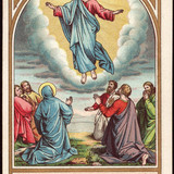 f5fd0cdd3a5373a45b95051d82729f21