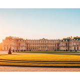 Gemini Generated Image gypfn3gypfn3gypf (1)