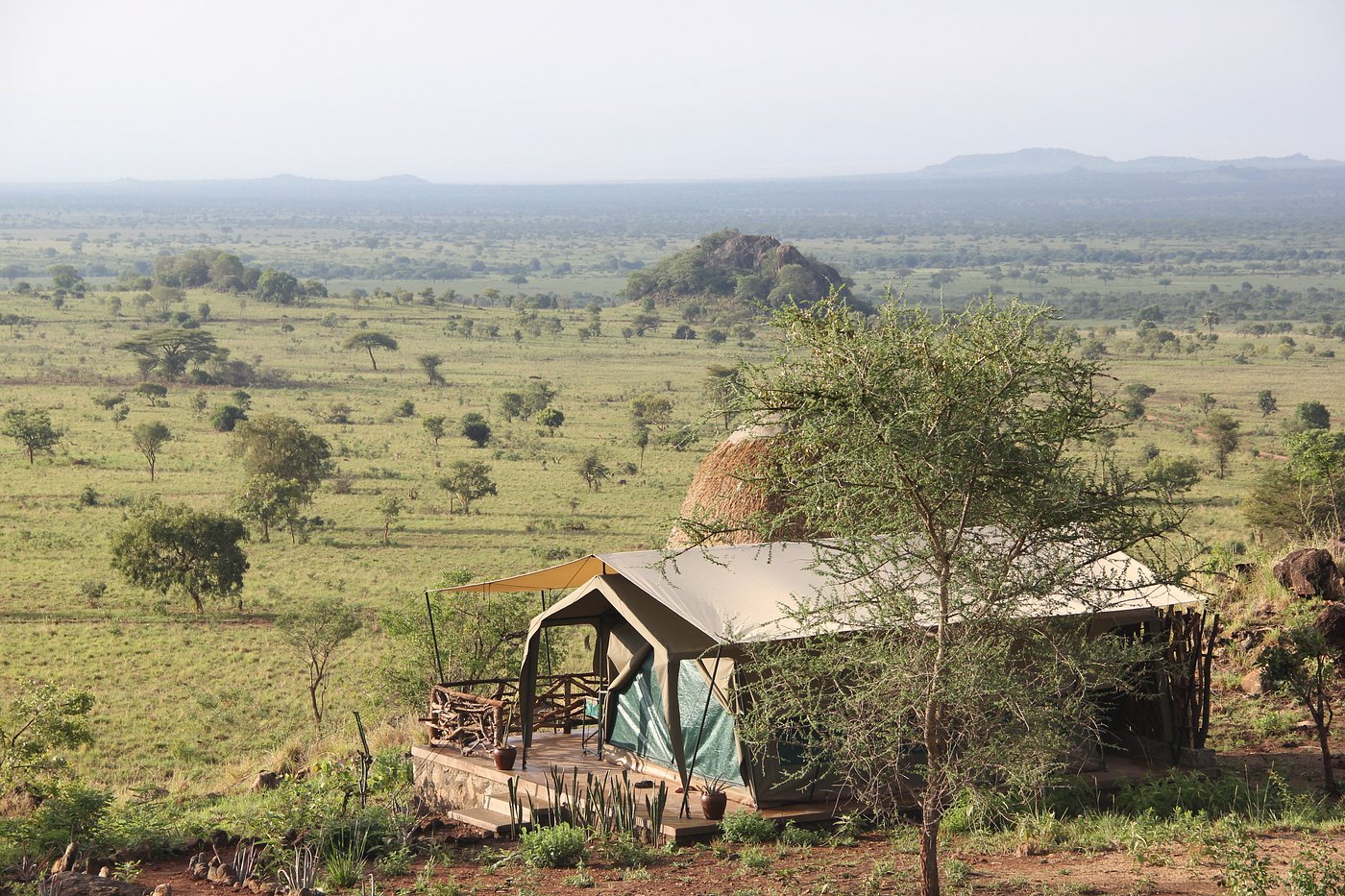 Kidepo Savannah Lodge Room