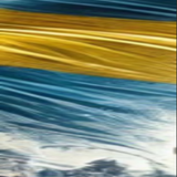 side (1).png