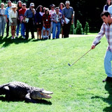 happy gilmore morris 051325 e39a631c00c24806985799e1ccc20a5a