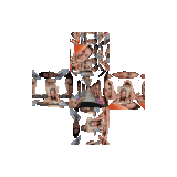Merged cross rotating