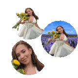 Spinning circle 3.gif