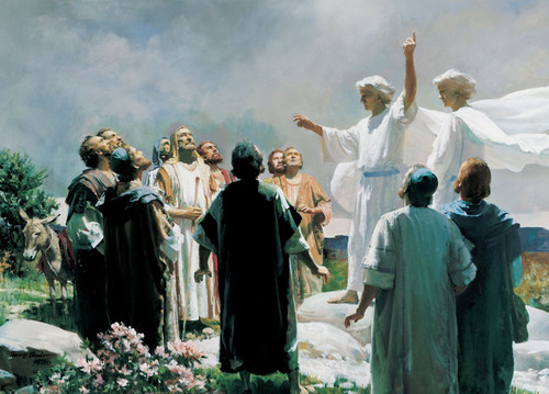 the ascension of jesus.jpg