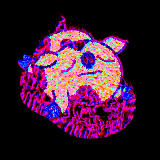 dont give up lil piggy