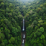 prompt image 3 768x1024