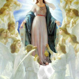 4e9435df8f1f4d86eef2113c52eb6cc0