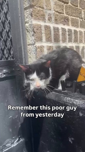 iVmumZIOPQJ98w b.jpg