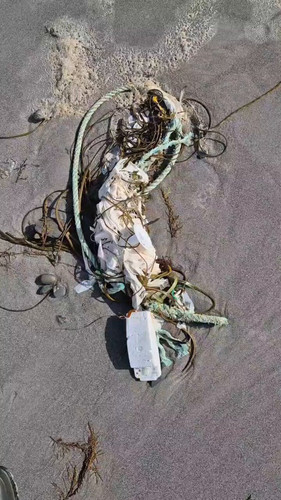 y4XrfDE9TaO 6VO2.jpg