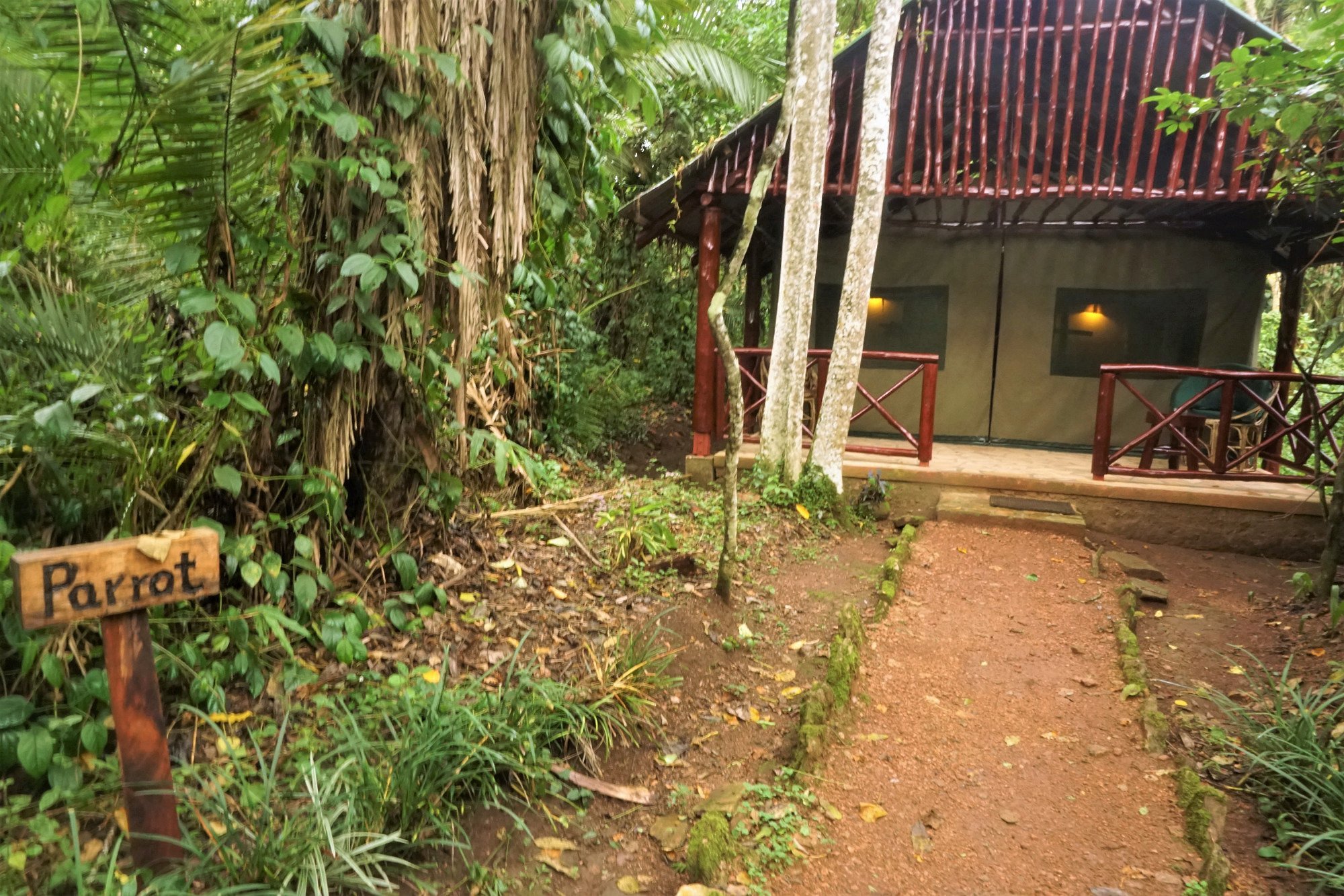 Kibale Forest National Park