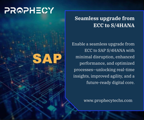 WhatsApp Image 2025 07 25 at 7.15.25 PM (1).jpg