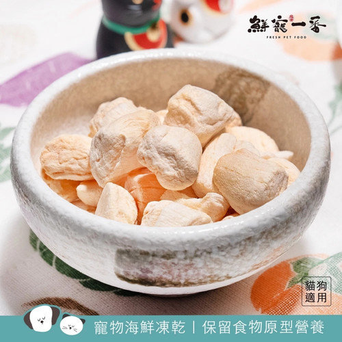 image WH 1200x1200px (83).jpg