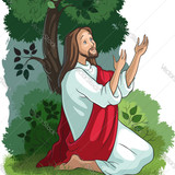 jesus agony in the garden vector 15463111