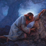 c246bbbce203df476766b7031810f8a6