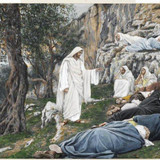 the agony in gethsemane