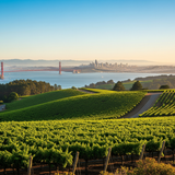 Gemini Generated Image x2nq5sx2nq5sx2nq (1)