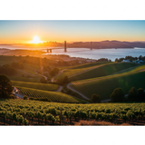 Gemini Generated Image x2nq5sx2nq5sx2nq (3)