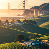 Gemini Generated Image 9t4vg59t4vg59t4v