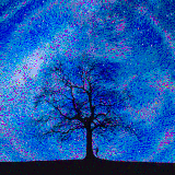 night tree1