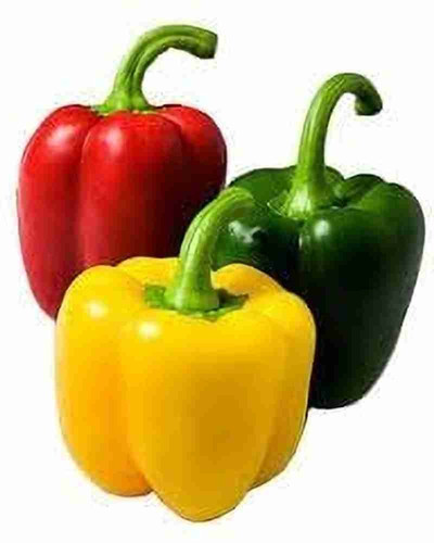 120 purple capsicum shimla mirch.jpg