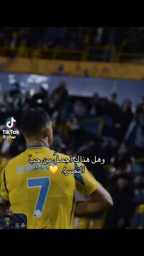 LmTD VELvbRnmgmm.jpg