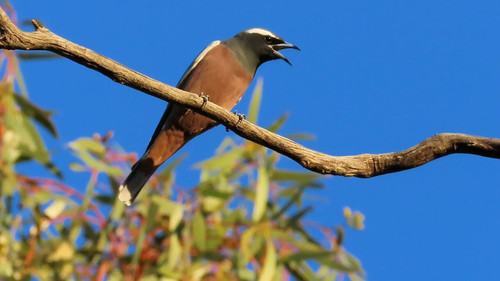 g9ABY xhAgfSc6uU.jpg