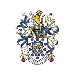 logo 256x256 no bg.png