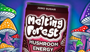 Vegan Mushroom Gummies.jpg