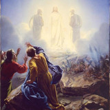 the transfiguration of christ open edition canvas 16 12 x 21 print only art 116 800x