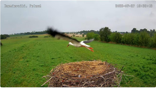 MWSnap467.jpg