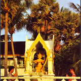 Image0071 1