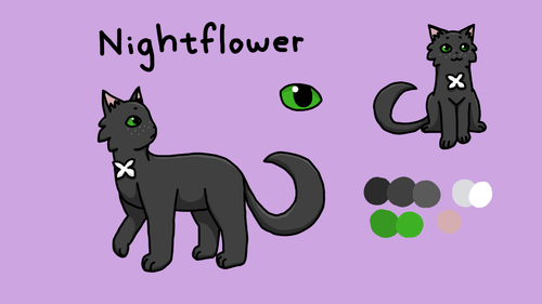 by Nightkit/flower on Chrome Canvas