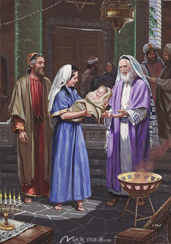 PCD 0000005005 2.jpg