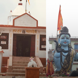 Add a subheading (12)