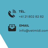 Entête Etoy Antoine2