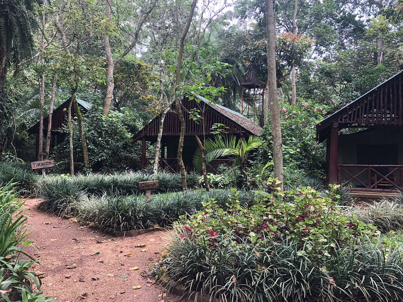Kibale Forest Camp