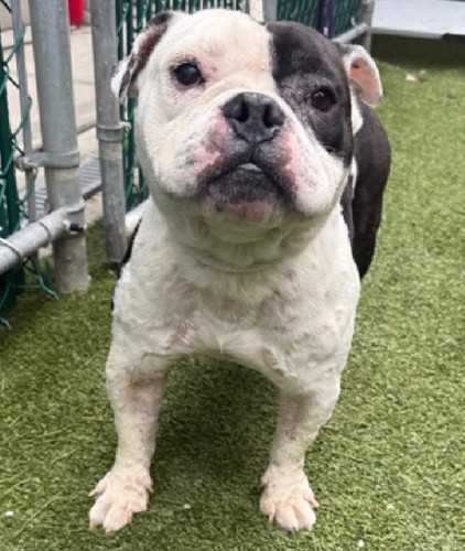 Gu5KSkrXoAAik v?format=jpg.jpg