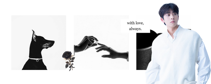 [Image: FvxceG1.png]