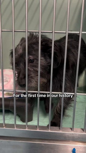 ich mGwoNFHrlAqy.jpg