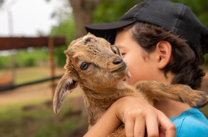 Turismo rural para estas vacaciones de invierno en Misiones