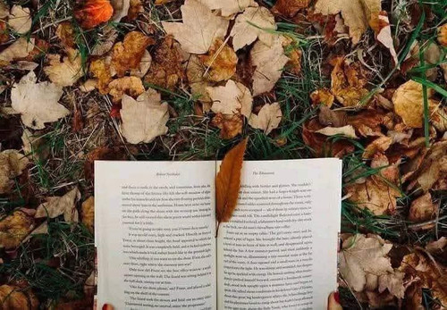 FB IMG 1753005835620